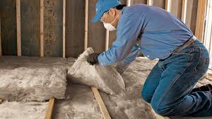 Best Thermal Imaging for Insulation Gaps  in Ivanhoe, TX