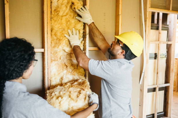  Ivanhoe, TX Insulation Pros