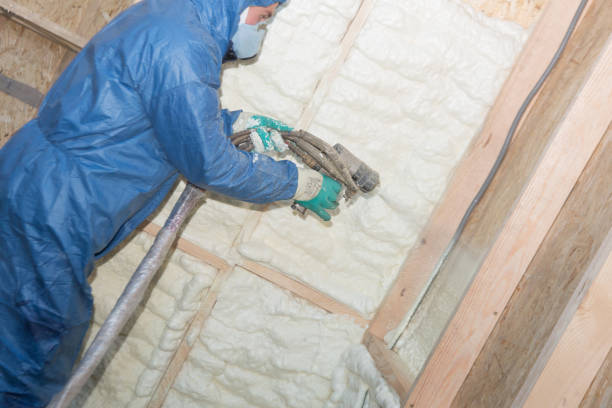 Best Attic Insulation Installation  in Ivanhoe, TX