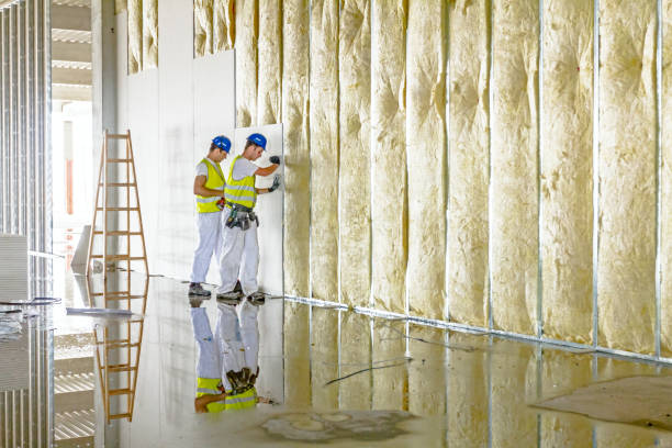 Best Soundproof Insulation  in Ivanhoe, TX