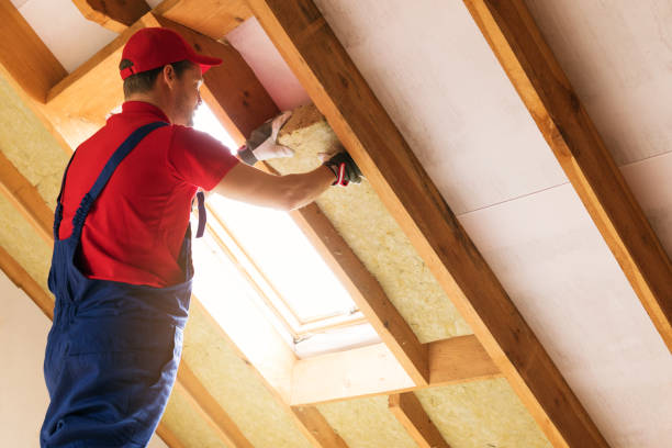 Best Batt and Roll Insulation  in Ivanhoe, TX